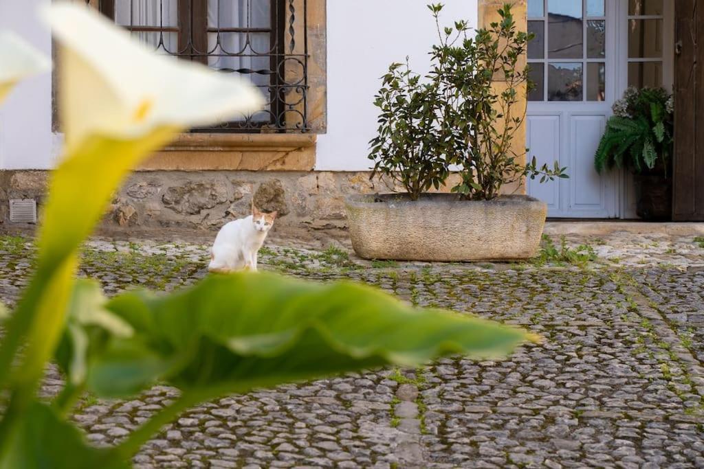 Villa Mima'S House - La Casa De Mima à Comillas Extérieur photo